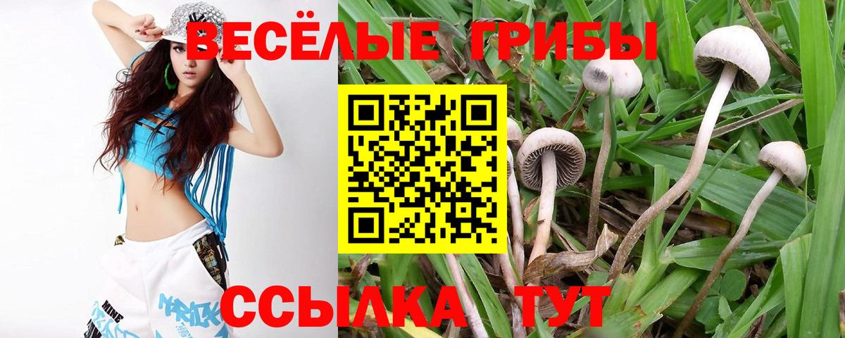 Галлюциногенные грибы GOLDEN TEACHER Лосино-Петровский